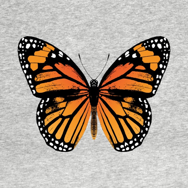 Monarch Butterfly by Eclectic At Heart